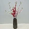peach blossom branch